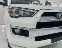 Toyota 4 Runner 2015 - Biển tỉnh, tên tư nhân