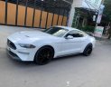 Ford Mustang 2018 - Bán xe Ford Mustang đời 2018 chính chủ giá chỉ 2 tỷ 450tr