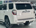 Toyota 4 Runner 2015 - Biển tỉnh, tên tư nhân