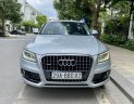 Audi Q5 2012 - Màu bạc, nhập khẩu nguyên chiếc