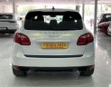 Porsche Cayenne S 2010 - Xe màu trắng