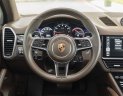 Porsche Cayenne 2019 - Odo 2.8 vạn km