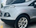 Ford EcoSport 2015 - Màu bạc giá hữu nghị