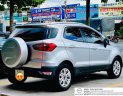 Ford EcoSport 2015 - Màu bạc giá hữu nghị