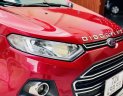 Ford EcoSport 2017 - Bán xe lăn bánh 55.000km