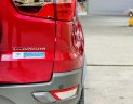 Ford EcoSport 2017 - Bán xe lăn bánh 55.000km