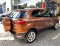 Ford EcoSport 2019 - Chính hãng cần bán xe một chủ, 10.000 km xe bác sĩ dùng rất kỹ