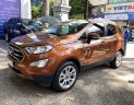 Ford EcoSport 2019 - Chính hãng cần bán xe một chủ, 10.000 km xe bác sĩ dùng rất kỹ