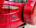 Ford EcoSport 2017 - Bán xe lăn bánh 55.000km