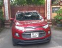 Ford EcoSport 2016 - Một chủ mua mới từ đầu