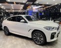 BMW X6 2020 - Xe màu trắng