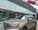 Ford Everest 2019 - Giá 1 tỷ 176 tr