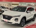 Hyundai Santa Fe 2020 - Bao check test hãng