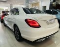 Mercedes-Benz 2019 - Cần bán xe đăng ký 2019 chính chủ giá 1 tỷ 249tr