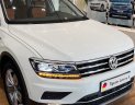 Volkswagen Tiguan 2022 - Giá tốt nhất miền Nam - Giảm 100% phí trước bạ - Tặng BHVC, tặng 5 năm bảo dưỡng, lãi suất 0%