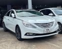 Hyundai Sonata 2010 - Hyundai Sonata 2010 số tự động tại Bình Thuận  