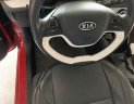 Kia Picanto 2013 - Kia Picanto 2013