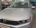 Volkswagen Passat 2018 - Bảo hiểm mới gia hạn còn 12 tháng