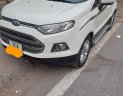 Ford EcoSport 2015 - Xe cá nhân 1 chủ