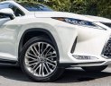 Lexus RX 350 2022 - Xe màu trắng, nhập khẩu  