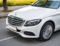 Mercedes-Benz C 250 2015 - Giá cực tốt