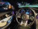 Mercedes-Benz C 250 2015 - Màu trắng