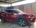 Lexus NX 300 2019 - Xe màu đỏ, xe nhập