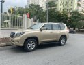 Toyota Land Cruiser Prado 2010 - Odo 12 vạn km