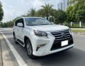 Lexus GX 460 2010 - Bản Luxury nhập Mỹ