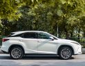 Lexus RX 350 2021 - Biển tỉnh