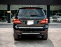 Mercedes-Benz GLS 500 2017 - Rất hiếm và hót