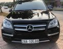 Mercedes-Benz GL 450 2010 - Màu đen, xe nhập, giá cực tốt