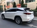 Lexus RX 350 2020 - Xe nhập khẩu chính hãng