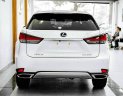 Lexus RX 300 2022 - Xe lướt như mới, nguyên zin từ sơn đến nội thất cần bán