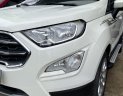 Ford EcoSport 2019 - Xe đúng chất gia đình, còn bảo hành chính hãng Ford