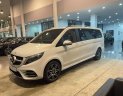 Mercedes-Benz V250 2022 - Giá niêm yết 3 tỷ 445tr