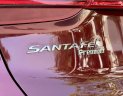 Hyundai Santa Fe 2021 - Siêu lướt 1 vạn km, giá 1 tỷ 255