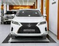 Lexus RX 300 2022 - Xe lướt như mới, nguyên zin từ sơn đến nội thất cần bán