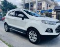 Ford EcoSport 2016 - Xe màu trắng 