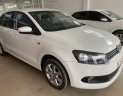 Volkswagen Polo 2016 - Volkswagen Polo 2016 số tự động tại Tp.HCM