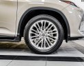 Lexus RX 300 2022 - Xe mới đến 99% cần bán