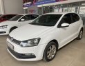 Volkswagen Polo 2016 - Volkswagen Polo 2016 số tự động tại Tp.HCM