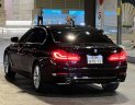 BMW 530i 2019 - Bản nhập khẩu full option