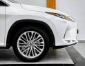 Lexus RX 300 2022 - Xe lướt như mới, nguyên zin từ sơn đến nội thất cần bán