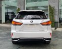 Lexus RX 350 2020 - Chất lượng đẹp như mới