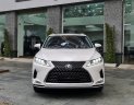 Lexus RX 350 2020 - Chất lượng đẹp như mới