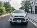 Ford EcoSport 2016 - Một chủ từ mới, màu trắng