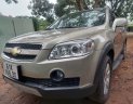 Chevrolet Captiva 2008 - Màu vàng, 230tr