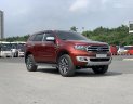 Ford Everest 2020 - Xe đi 3,8v km