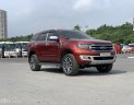 Ford Everest 2020 - Xe đi 3,8v km